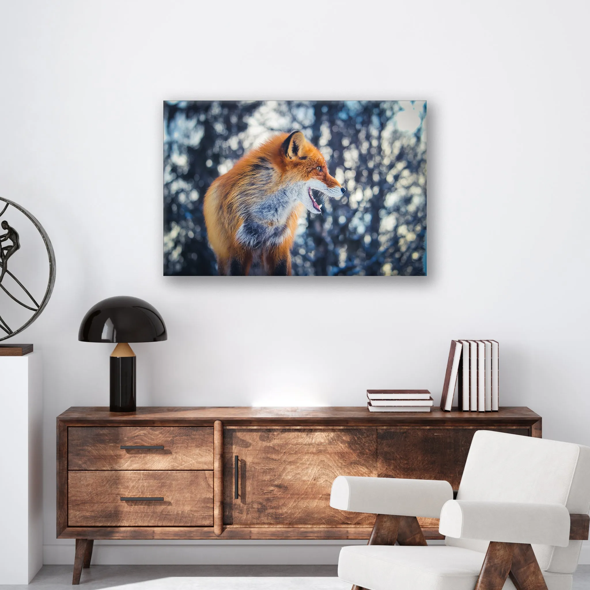 Curious Fox - Print