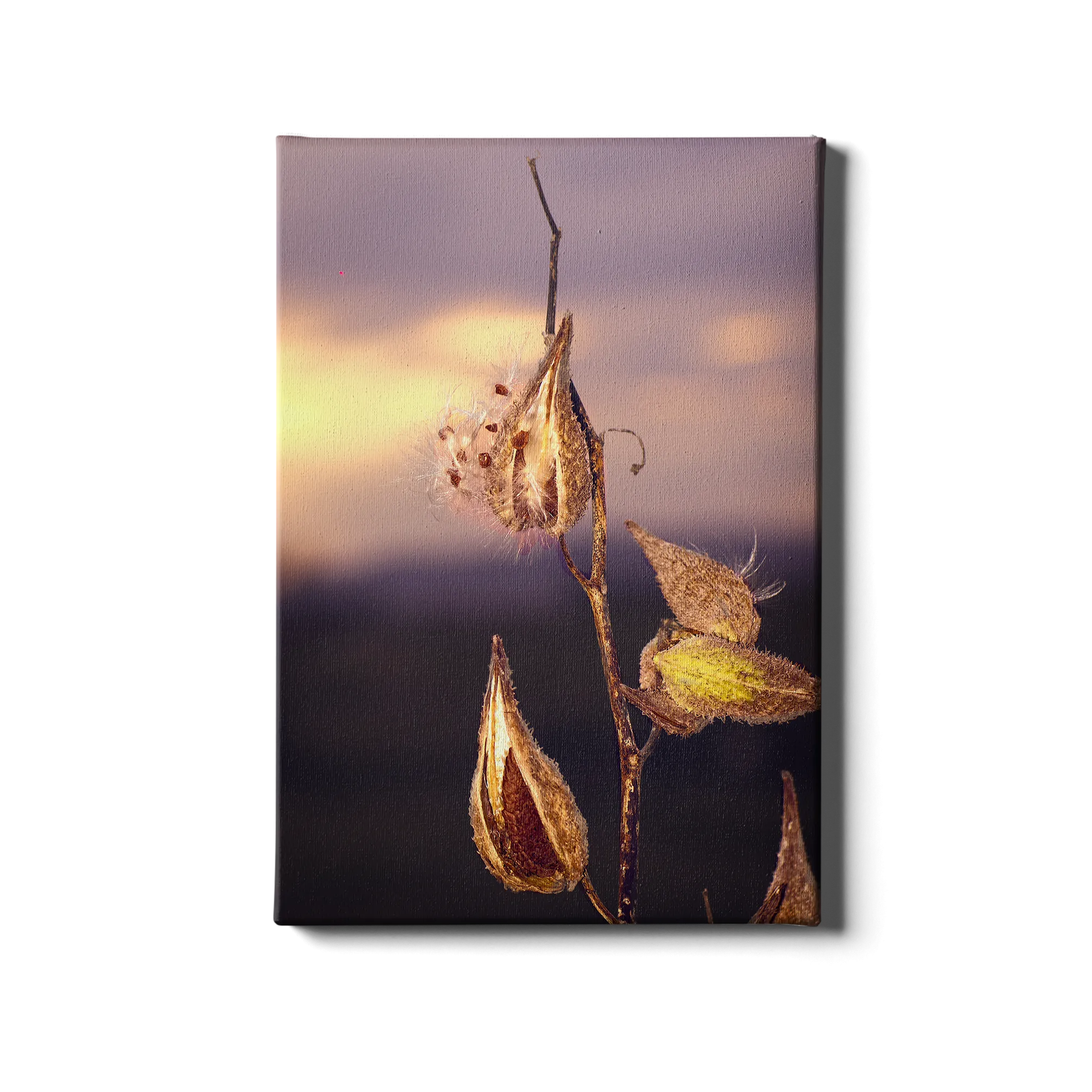 Destination - Milk Weed