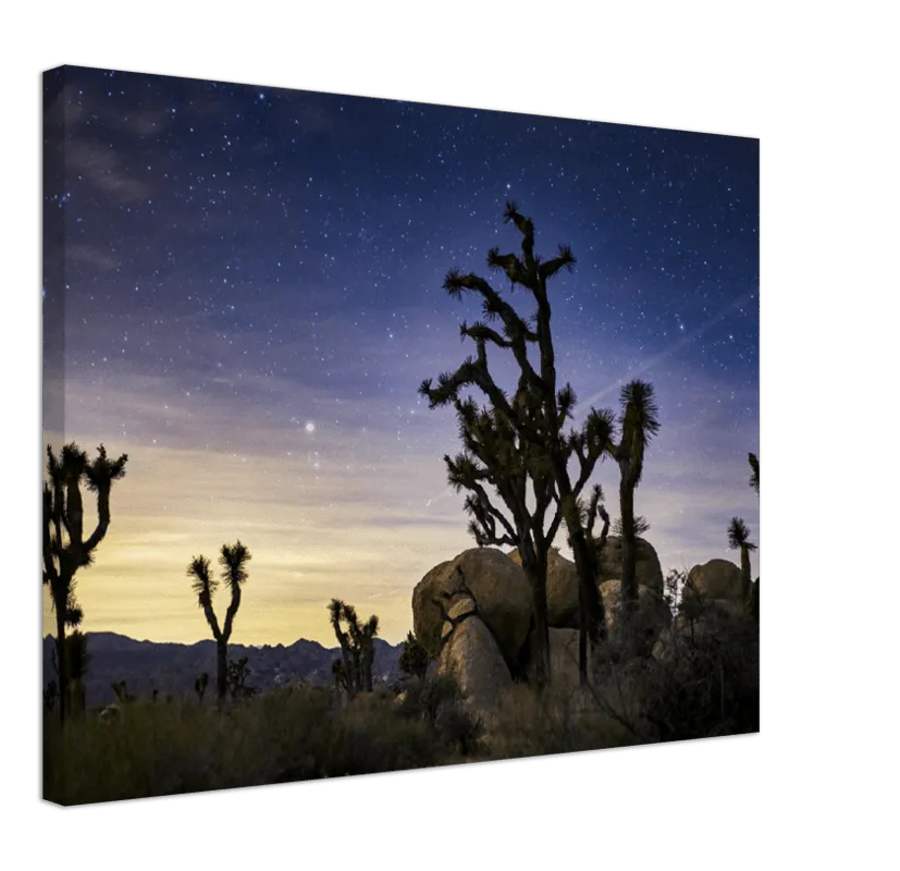 Joshua Tree - Print