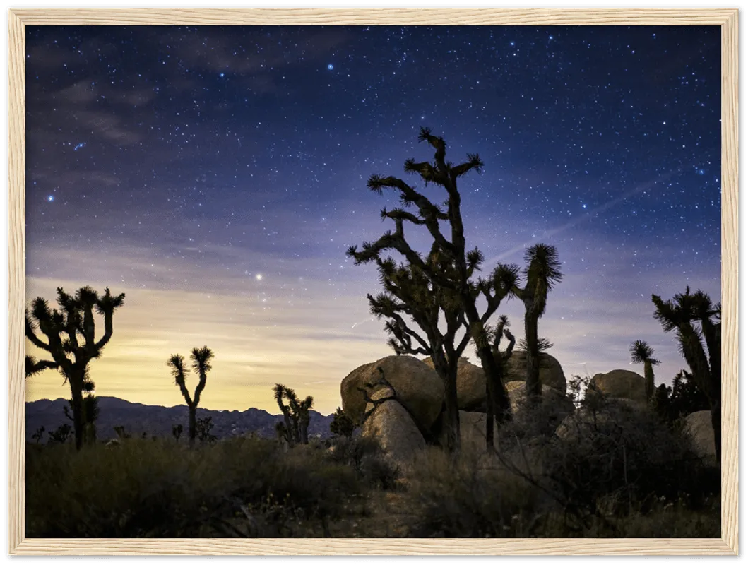 Joshua Tree - Print