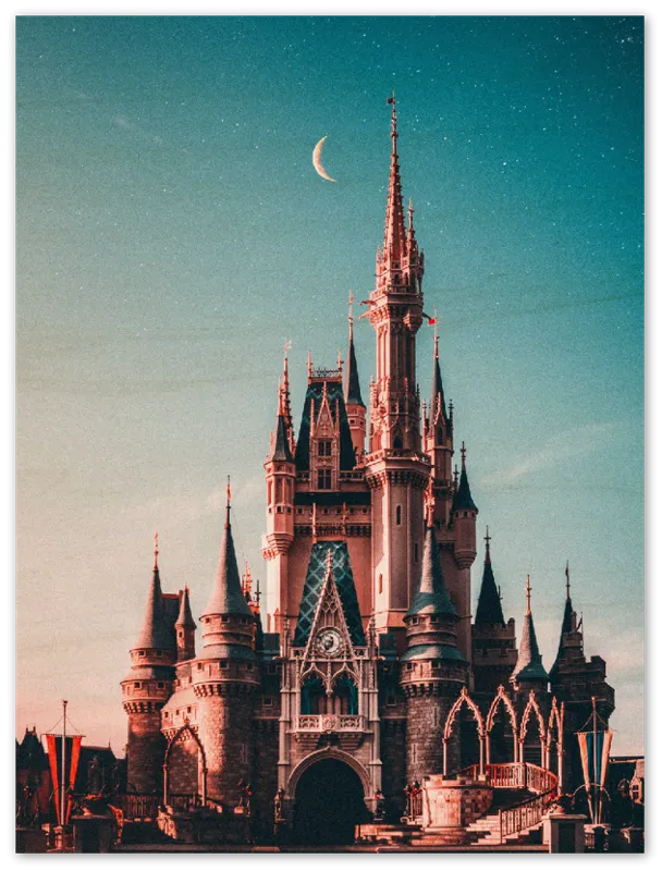 Walt Disney Castle - Print