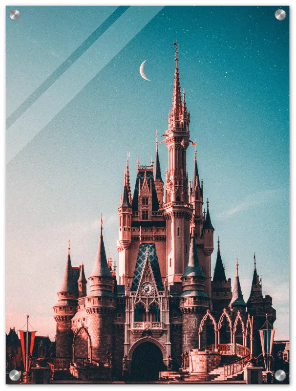 Walt Disney Castle - Print