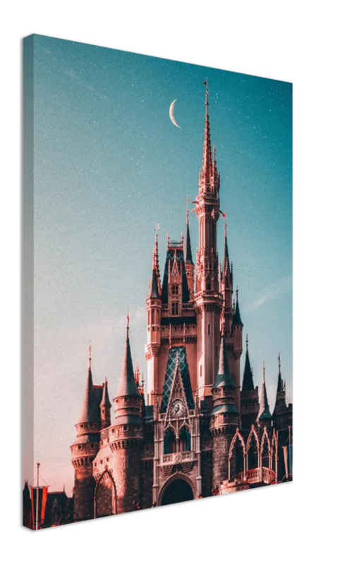 Walt Disney Castle - Print