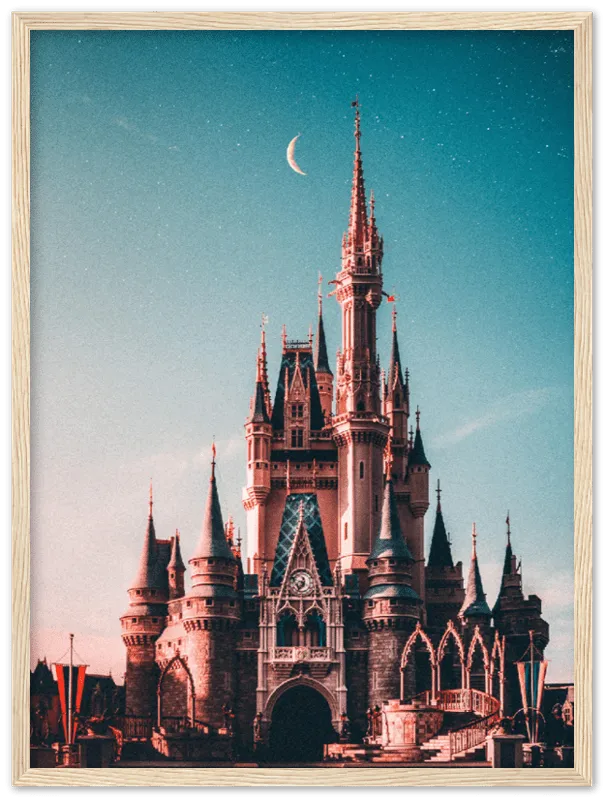 Walt Disney Castle - Print