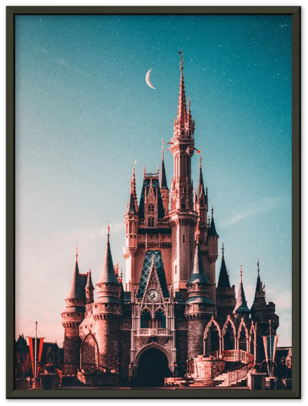 Walt Disney Castle - Print